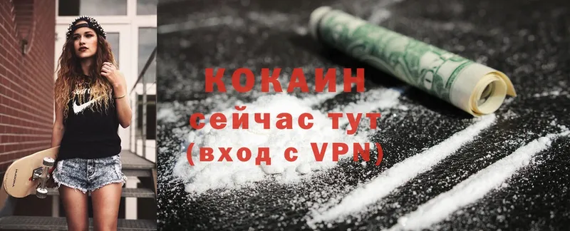 купить наркоту  Балей  Cocaine Эквадор 